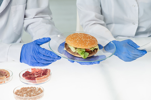 Gloved hands of worker of food quality control holding plate with appetizing hamburger containing vegetable meat over table in laboratory