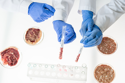 overview of gloved hands of two workers of food quality control holding flasks with tiny samples of raw  meat over desk in laboratory