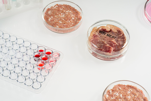 Covered petri dish containing piece of raw soy meat standing on table between other samples of animal origin in scientific laboratory