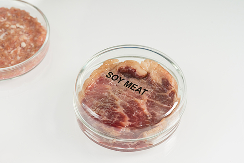 Covered petri dish containing piece of raw laboratory grown soy meat standing on table next to another sample of animal origin