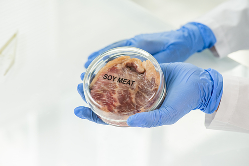 Gloved hand of laboratory worker holding covered petri dish with sample of raw soy meat over table while going to investigate its characteristics