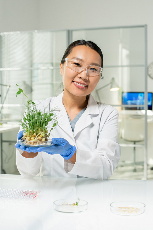 Happy young gloved female laboratory worker or scientific researcher looking at you while holding petri dish with green lab-grown soy sprouts