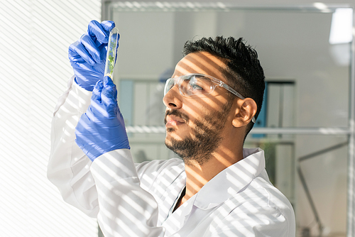 Young serious male laboratory worker in protective workwear looking at flask containing green lab-grown sprout while standing by window