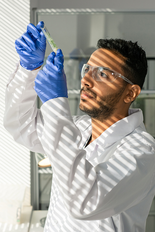 Young male laboratory worker in whitecoat, gloves and protective eyeglasses looking at flask containing green lab-grown sprout