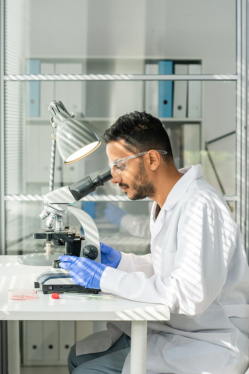 Side view of young contemporary researcher in gloves, eyeglasses and whitecoat studying sample of lab-grown soy sprout in microscope