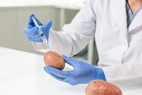 Young scientist or researcher in whitecoat and gloves sitting by workplace and injecting potato during scientific experiment in clinic laboratory