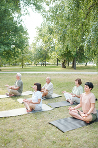 Group of spiritual mature people sitting in half lotus position and meditating with closed eyes in park