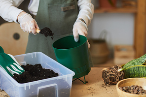 Close up of young woman putting fresh soil into pot while caring for houseplants indoors, copy space