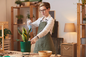 Waist up portrait of modern young woman watering dracaena while caring for houseplants indoors, copy space