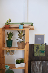 Vertical background image of gardening corner with tools and wooden shelves for houseplants, copy space