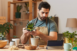 Portrait of bearded young man watching videos online while potting dracaena and succulents and caring for houseplants indoors, copy space