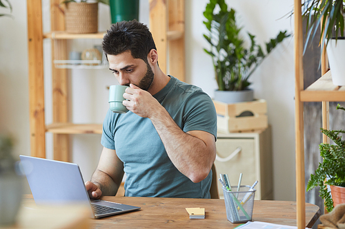 Portrait of handsome bearded man drinking coffee and using laptop while sitting at desk in home interior decorated with houseplants, copy space