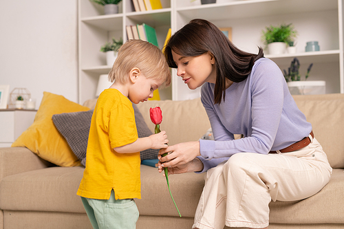 Pretty young woman showing red tulip to her cute little son while sitting on couch in front of him and talking about the flower