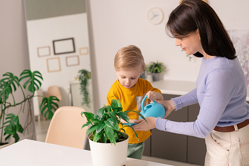 Adorable little child helping his mother while both standing by table and watering one of green domestic plant in flowerpot at home