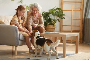 Full length warm-toned portrait of smiling senior woman and cute granddaughter playing with pet dog in cozy home interior, copy space