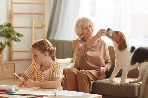 Warm toned portrait of tranquil family scene with senior woman playing with dog and cute red haired girl drawing pictures beside her in cozy home interior