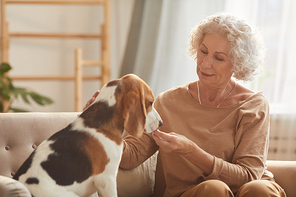 Portrait of smiling senior woman playing with dog and giving him treats while sitting on couch in cozy home interior, copy space