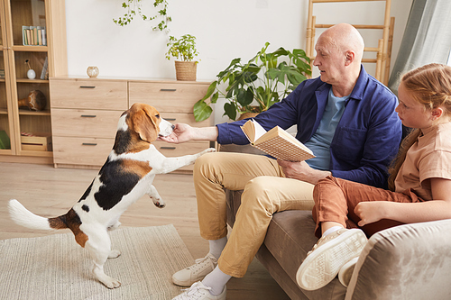 Side view portrait of senior man playing with dog while enjoying reading in living room with granddaughter, copy space