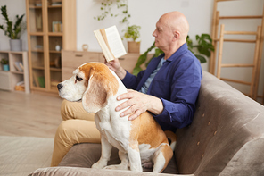 Side view portrait of senior man petting dog while enjoying reading in living room at cozy home, copy space
