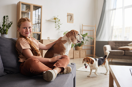 Warm toned portrait of cute red haired girl playing with dogs and looking at camera while sitting cross legged on sofa at home, copy space