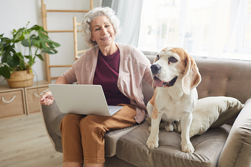 Portrait of smiling senior woman using laptop while sitting with dog on sofa in cozy apartment and smiling at camera, copy space