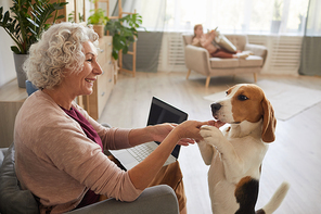 Warm toned side view portrait of senior woman playing with dog while enjoying time at home in cozy interior, copy space