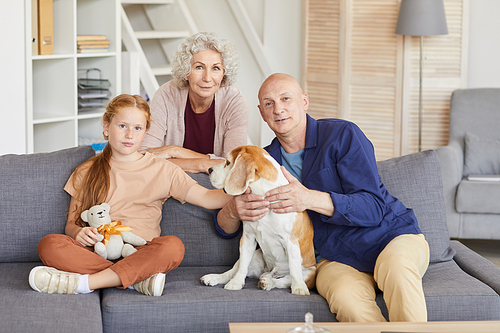 Warm portrait of red haired girl with grandparents sitting on couch and playing with dog in cozy home