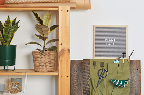 Background image of houseplants on wooden shelf with tools and Plant lady sign, copy space
