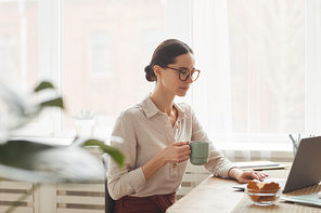 Side view portrait of elegant businesswoman wearing glasses while using laptop at cozy home office workplace