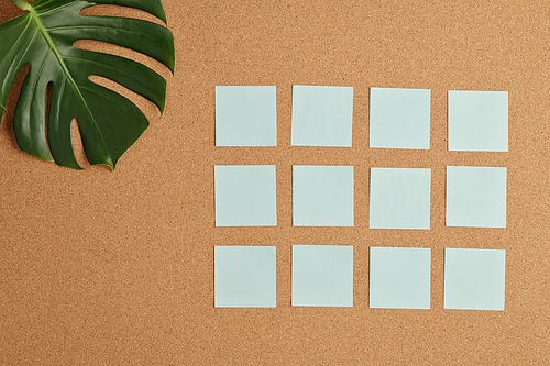 Flat layout of several rows of white blank notepapers on beige background with part of large green leaf of domestic plant on upper left
