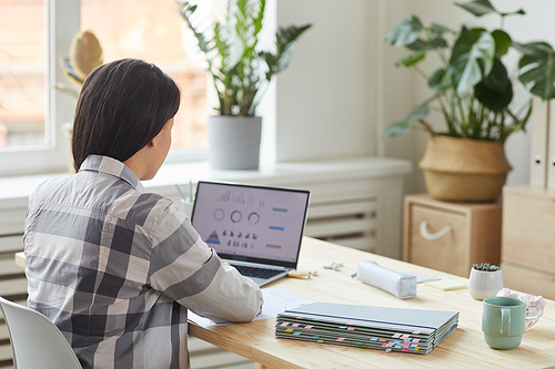 Back view portrait of modern young woman looking at laptop screen while sitting by wooden table and working at home office, copy space