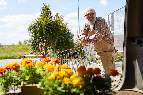 Portrait of smiling senior gardener leaning on cart while loading flowers in van for sale market, copy space