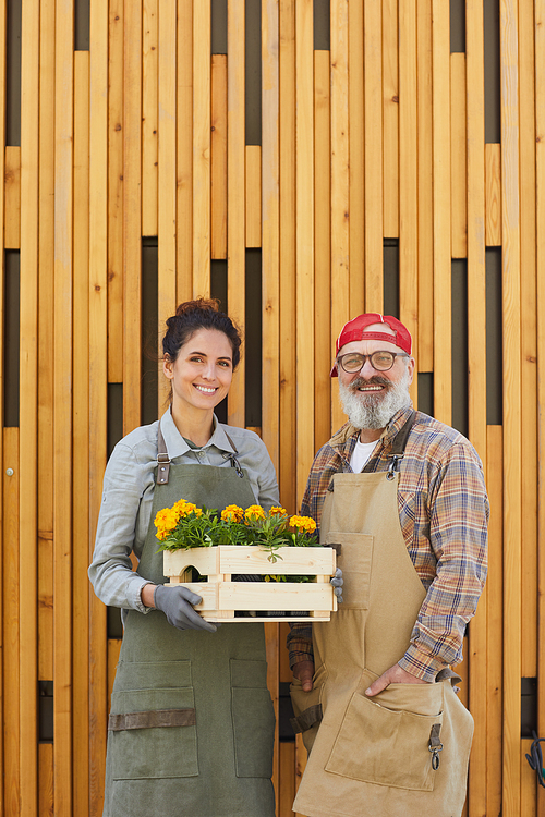 Vertical portrait of two cheerful gardeners holding flowers while standing by graphic wooden background