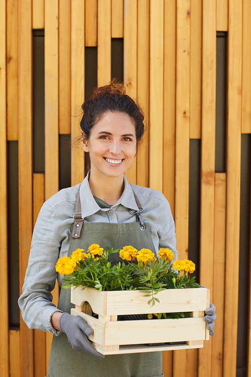 Vertical waist up portrait of cheerful female gardener holding flowers and looking at camera while standing by graphic wooden background