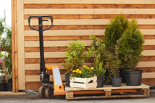 Background image of gardening tools, flowers and tree saplings standing by wooden shed outdoors, copy space