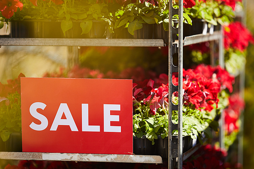 Background image of potted flowers stacked on shelves in plantation with red SALE sign, copy space