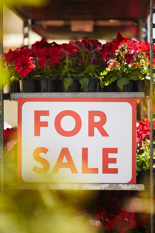 Vertical background image of potted flowers stacked on shelves in plantation with red FOR SALE sign, copy space