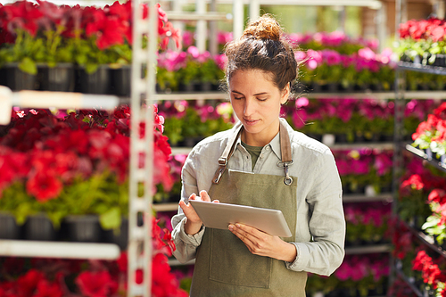 Waist up portrait of modern young woman using digital tablet surrounded by beautiful flowers while enjoying work in plantation outdoors, copy space