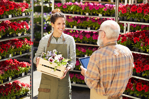 High angle portrait of smiling young woman holding box of flowers while talking to senior supervisor in plantation outdoors, copy space