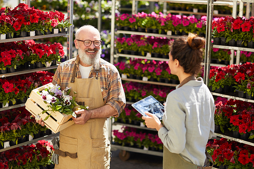 High angle portrait of smiling senior man holding box of flowers while talking to female worker in plantation outdoors, copy space