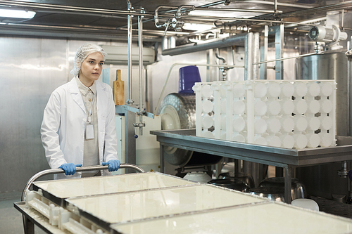 Portrait of young female worker pushing cart with raw cheese in workshop at food factory, copy space