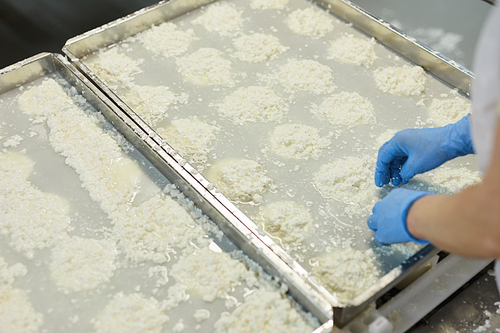 Close up of female worker forming cheese quark at dairy department of industrial food factory , copy space