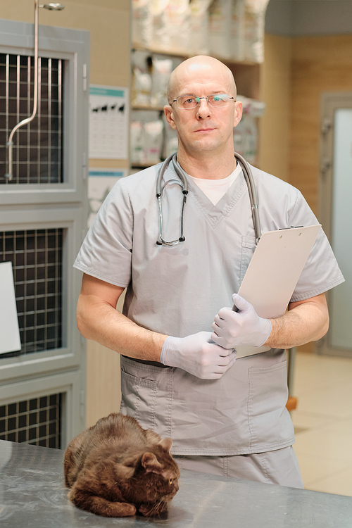 Portrait of vet with medical card looking at camera while standing near the table with cat at clinic