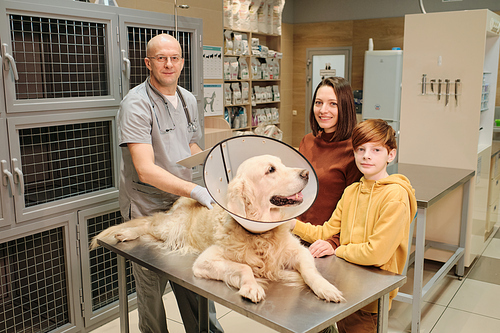 Portrait of owners smiling at camera standing at vet clinic while doctor examining their dog