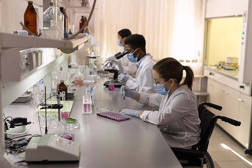 Group of scientists working at the table with microscope and examining samples in the lab