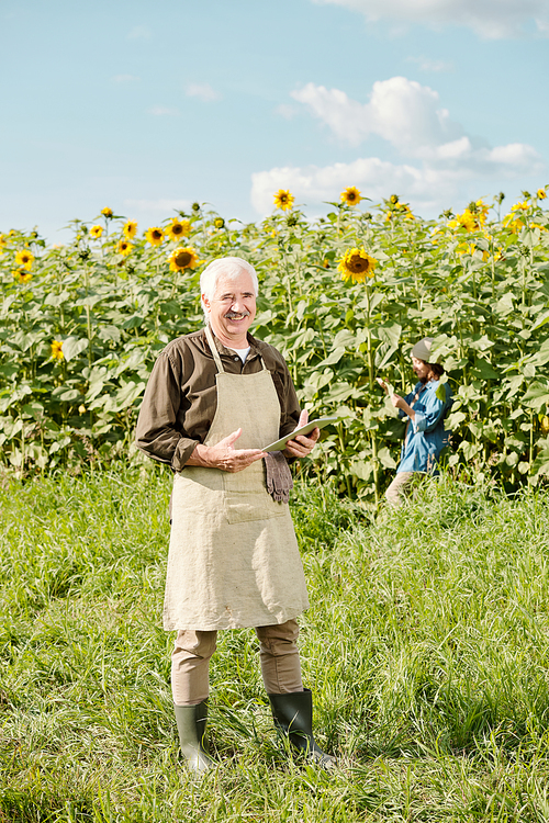 Mature cheerful male farmer in workwear standing in front of camera and using touchpad against sunflower field and woman on sunny day