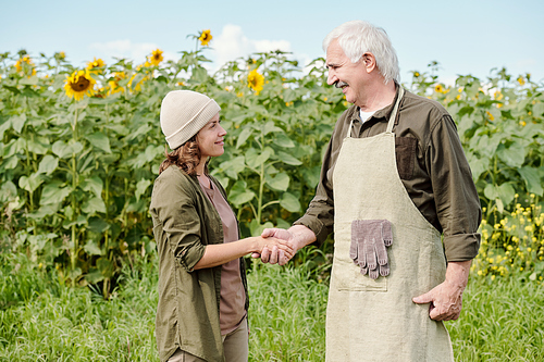 Happy senior male farmer and his mature female colleague with bottle of sunflower oil standing in front of camera against green field