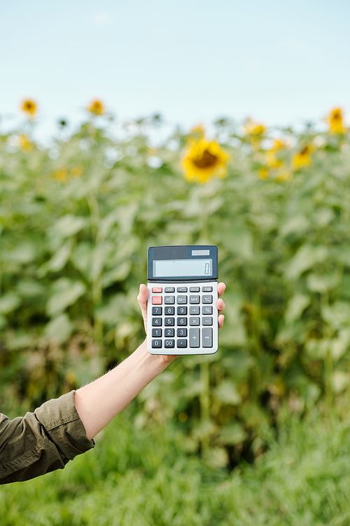Hands of senior male farmer in workwear holding calculator with zero on its display against green sunflower field and sky on summer day