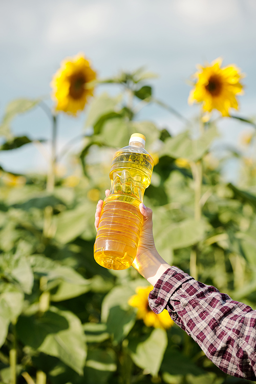 Hand of young contemporary female farmer holding plastic bottle with fresh sunflower oil against green plants with large yellow flowers