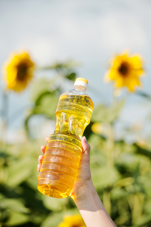 Plastic bottle with fresh sunflower oil against field with green plants with large yellow flowers and many black seeds in rural environment